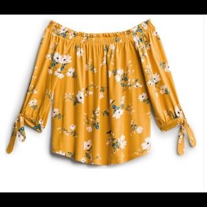 Evanine off the shoulder knit top